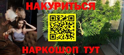 сатива Ачхой-Мартан