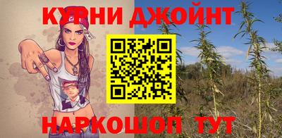 сатива Ачхой-Мартан