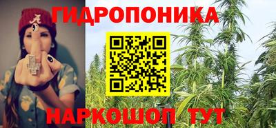 сатива Ачхой-Мартан