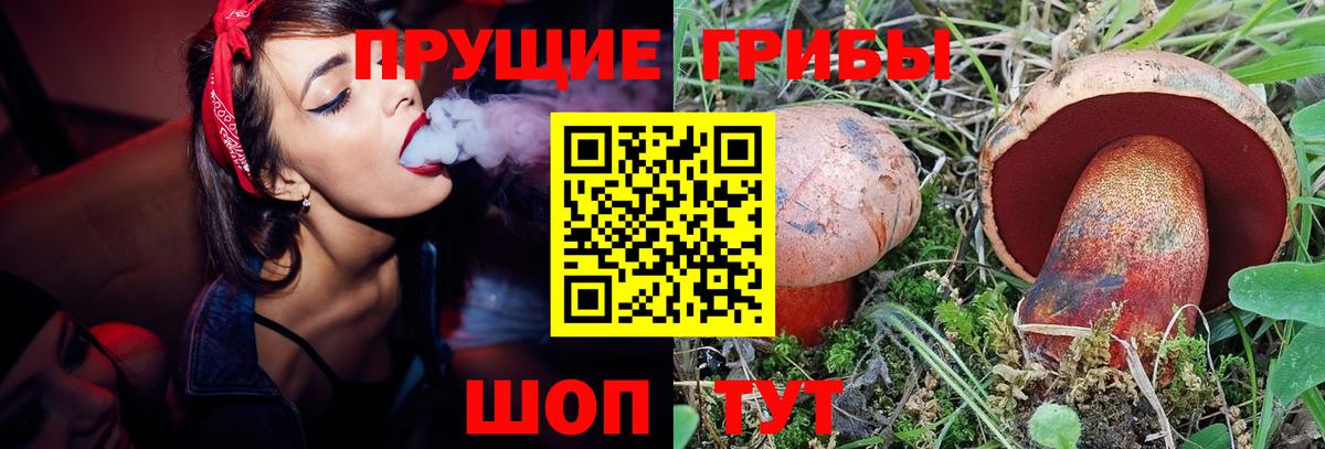 цена   Галлюциногенные грибы Psilocybe  Псилоцибиновые грибы Magic Shrooms  Вход с VPN  Горно-Алтайск 