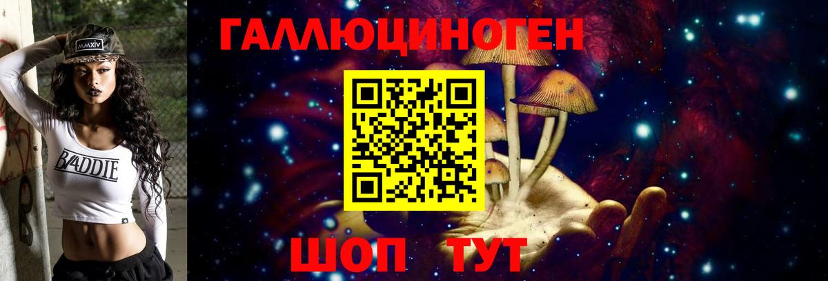 Галлюциногенные грибы ЛСД Горно-Алтайск